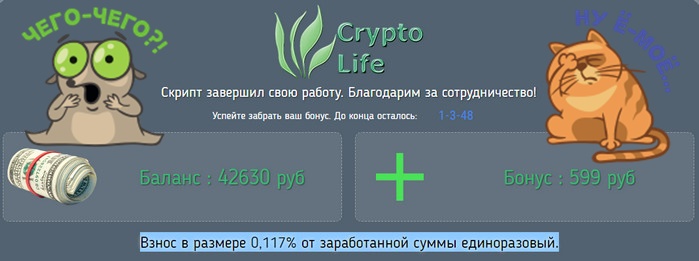 платформа crypto life