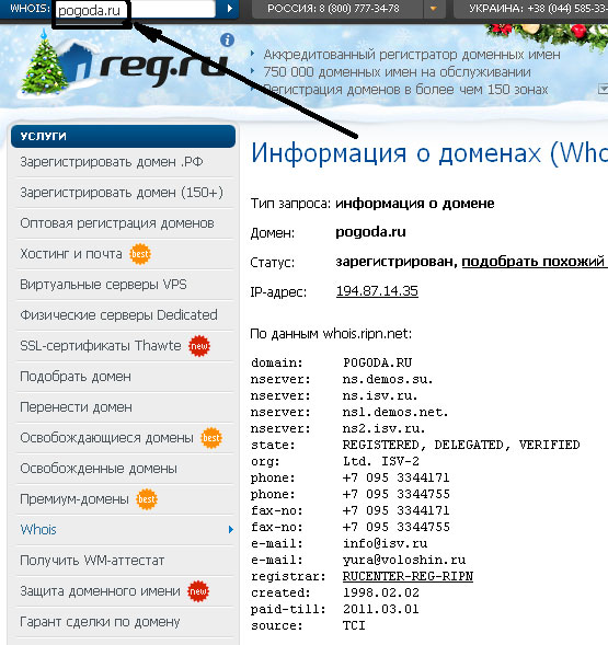 Проверка данных Whois домена, reg.ru