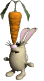 кролик с морковкой гифка